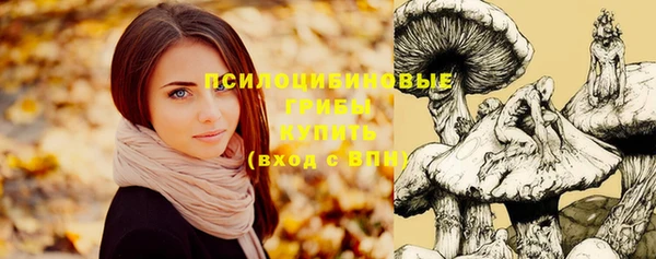 таблы Нея