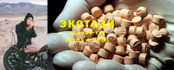 ECSTASY Ельня