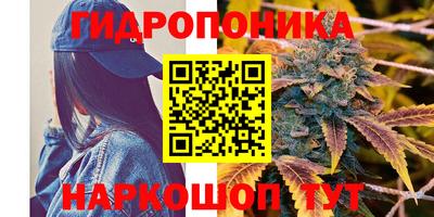 дмт Волжск