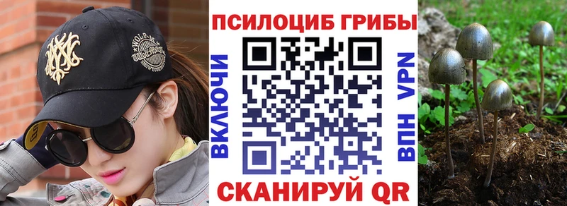 Псилоцибиновые грибы Cubensis  где можно купить наркотик  Губаха 