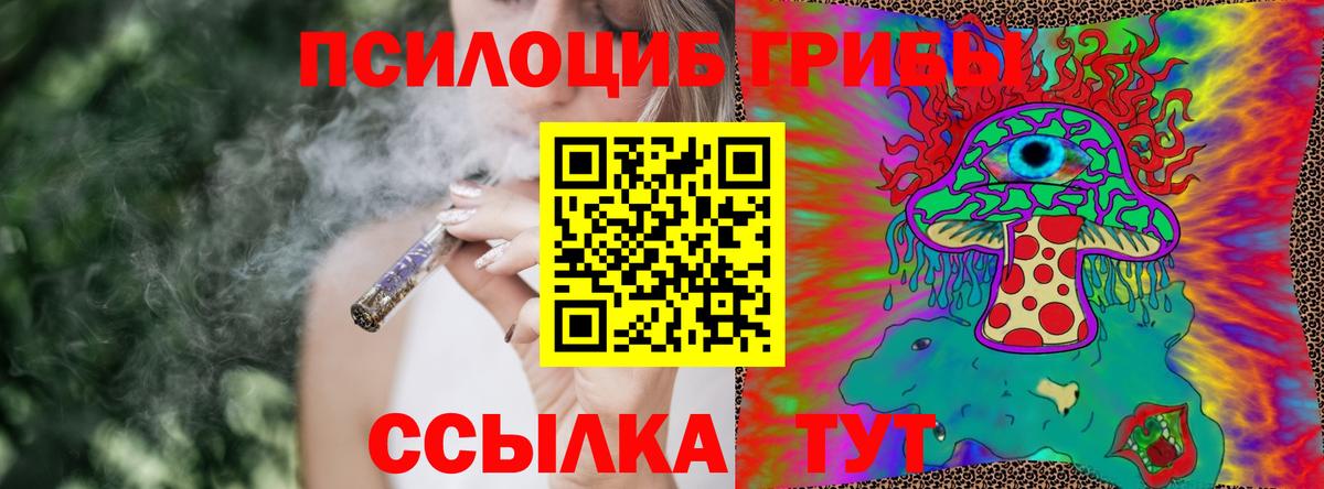Галлюциногенные грибы Cubensis Губаха