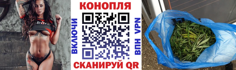 Бошки марихуана тримм  darknet наркотические препараты  Губаха 